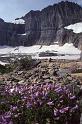 Glacier NP Aug-1990 Iceberg Lake 4